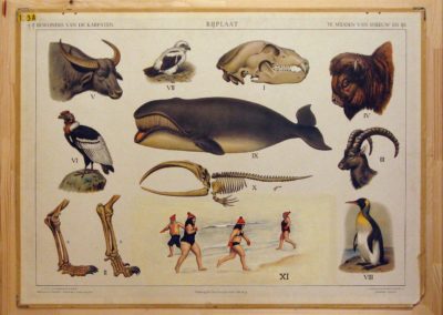 Temidden van sneeuw en ijs