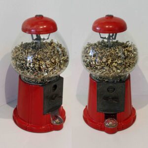 Everyone is a winner baby