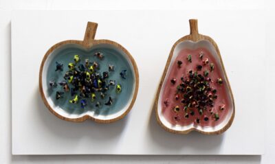 Appels en peren
